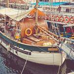 Cindy Lang Profile Picture