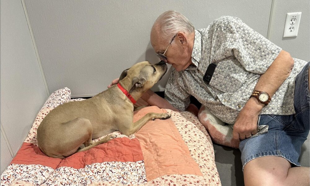 Lele the shy dog meeting her new owner