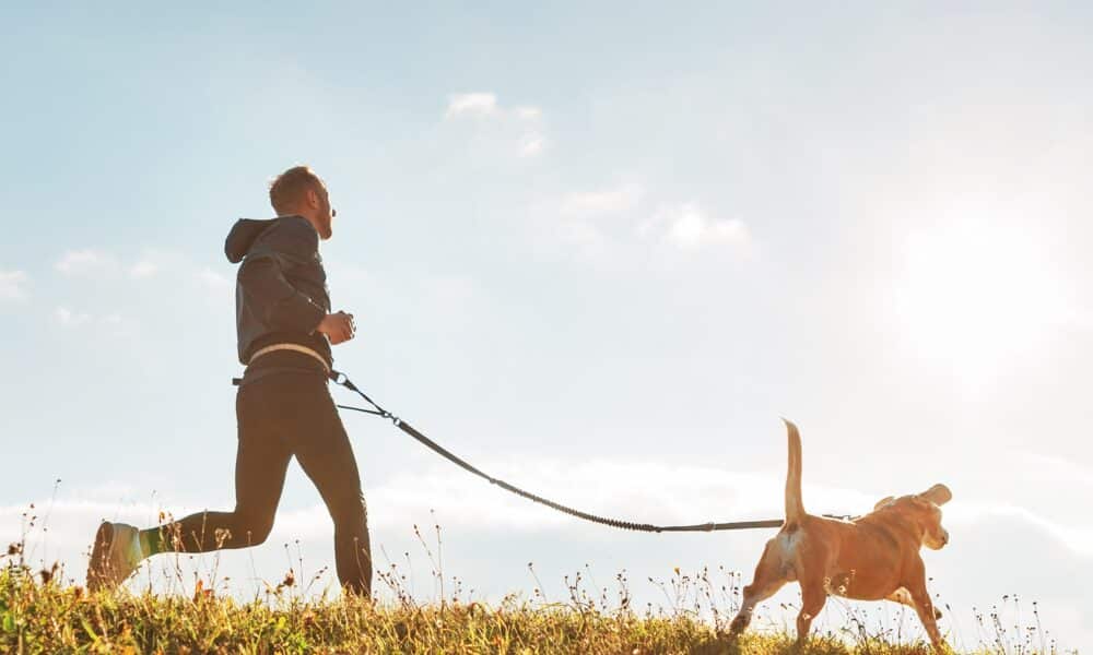 Man runs with his beagle dog at sunny morning