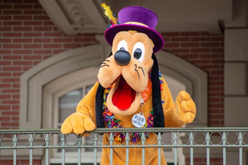 Pluto at Walt Disney World