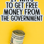 17 Ways To Get Free Money From the Government