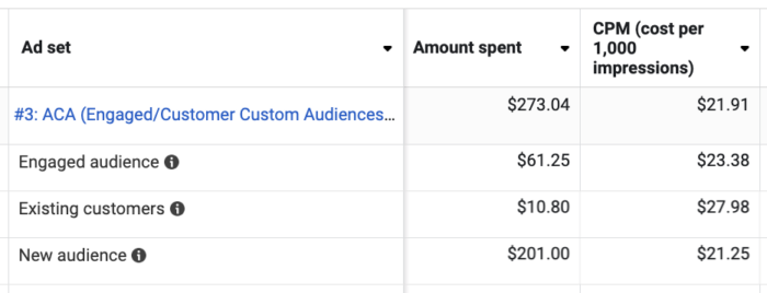 Audience Segments Breakdown