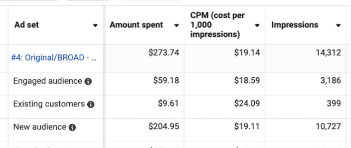 Going Broad Distribution Using Audience Segments