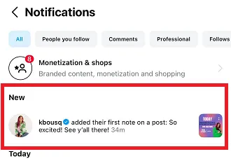 Instagram Notes notification