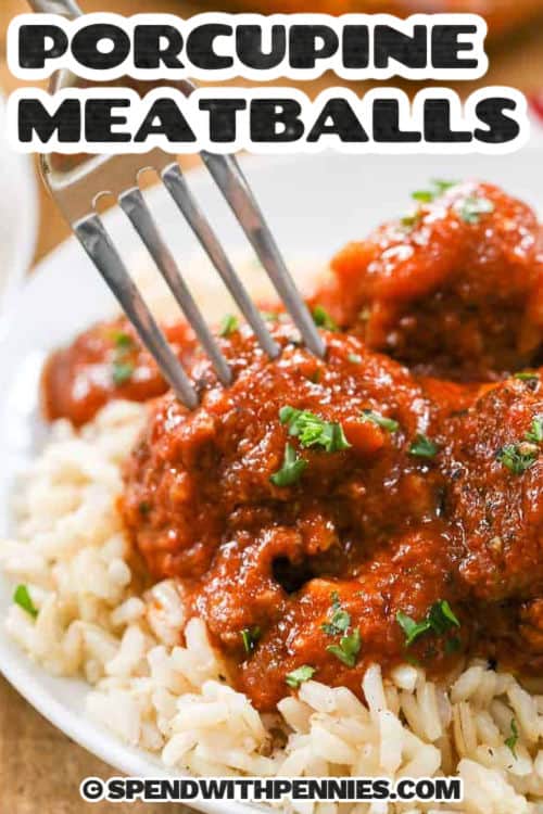 tender Porcupine Meatballs on rice with a title