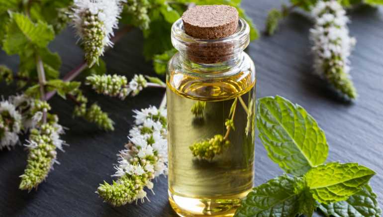 Peppermint oil for dark circles