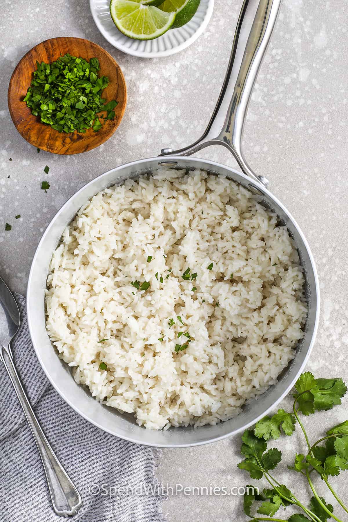 pot of Coconut Rice