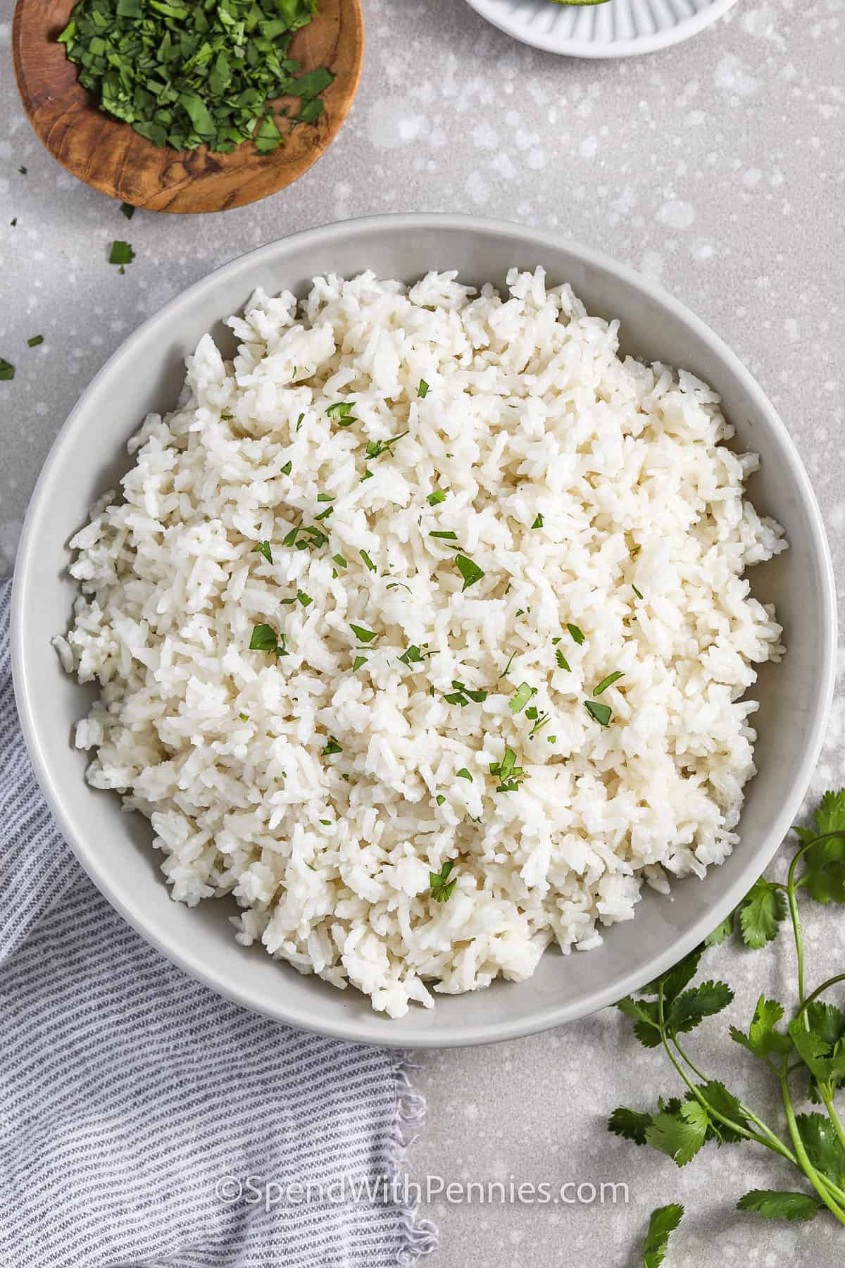 bowl of Coconut Rice