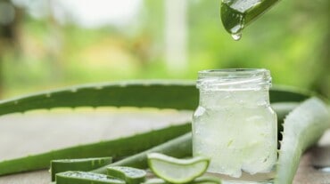 Aloe vera gel for dandruff