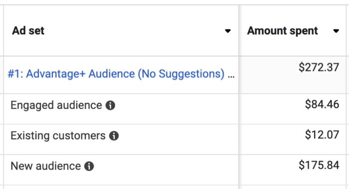 Audience Segments