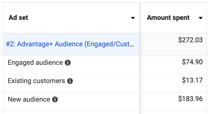 Audience Segments Breakdown