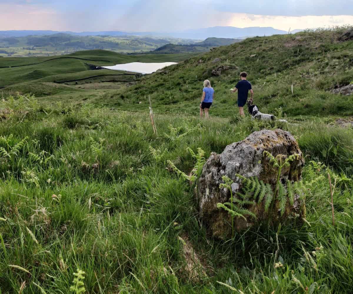 Potter Tarn 1