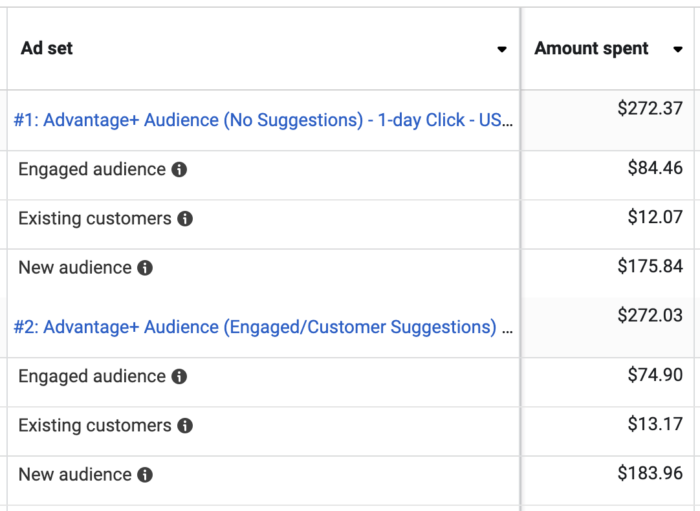 Advantage+ Audience with Suggestions