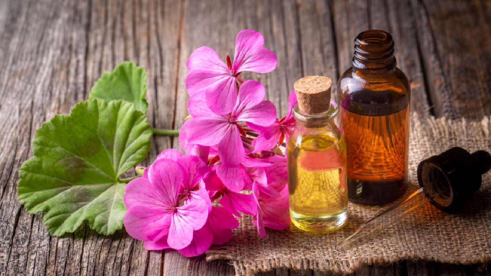 geranium for hair