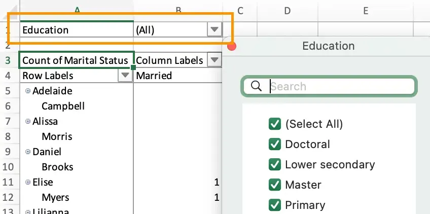 pivot table, selecting fields