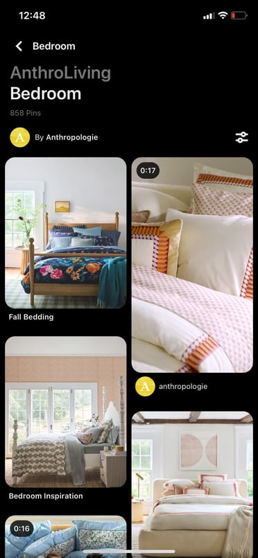 Screenshot of AnthroLiving Pinterest board showing different home decor items such as bedding and throw pillows 