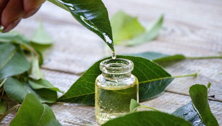 tea tree oil in a bottle