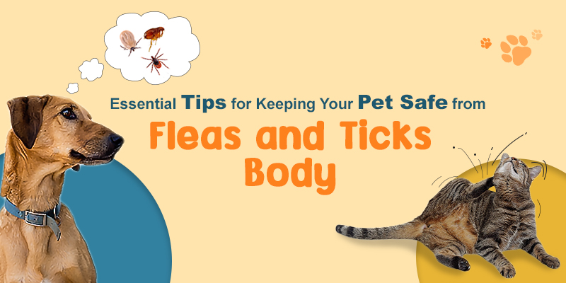 Essential Tips for Keeping Your Pet Safe from Fleas and Ticks