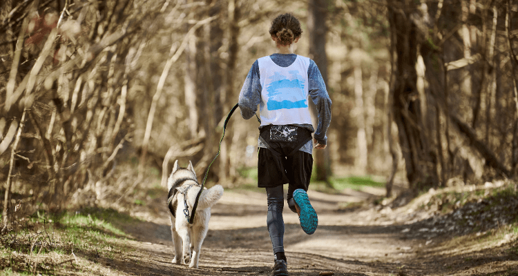 7 Dog Breeds Perfect for Running Enthusiasts