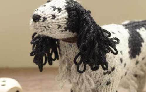 Knit Your Pet!