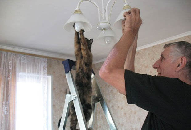 10 Pictures That Proves That Dog is Man’s Best Friend – Petsworld
