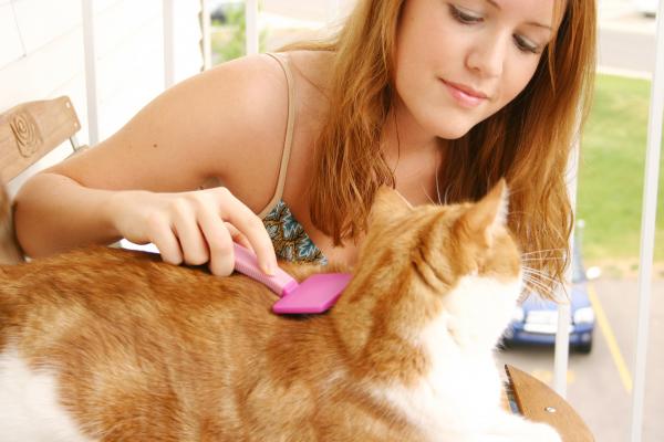 Why Won’t Kitty Keep Clean?