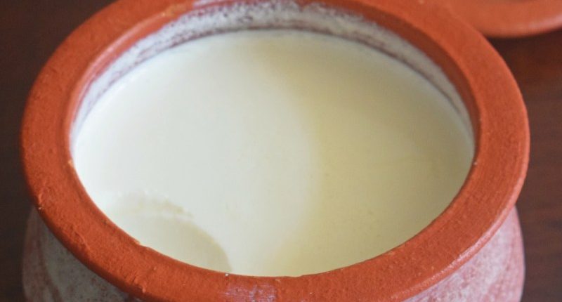 How to Season a Clay Pot and How to Set Perfect Curd/Yogurt in the Clay Pot