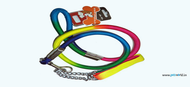 5 Stylish Accessories For Your Dog – Petsworld