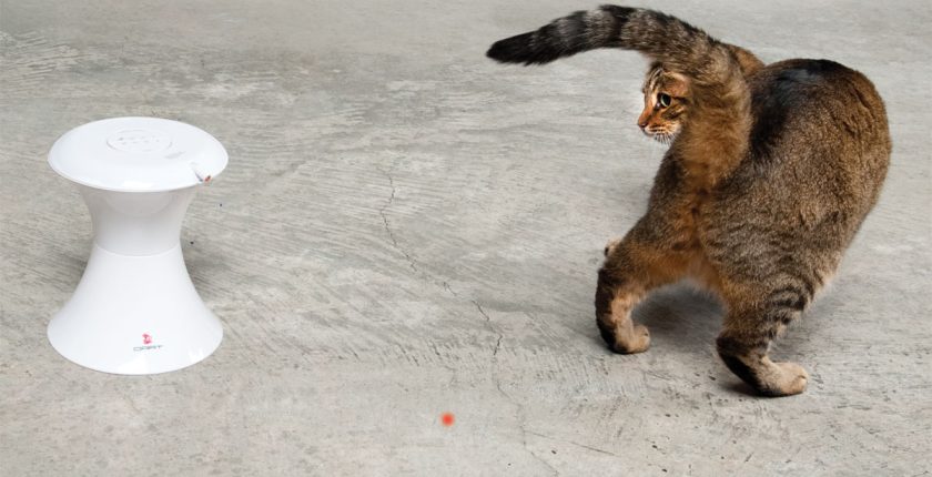New Generation Pet Toys